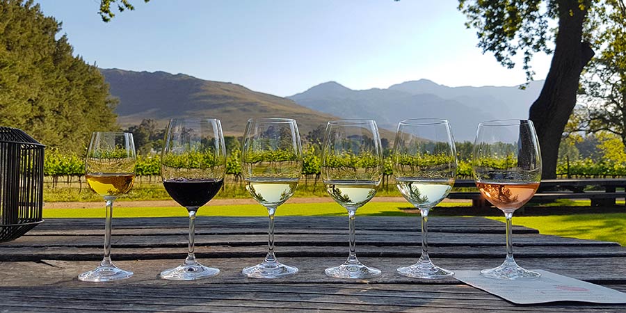 Wine tasting in the Stellenbosch region. 